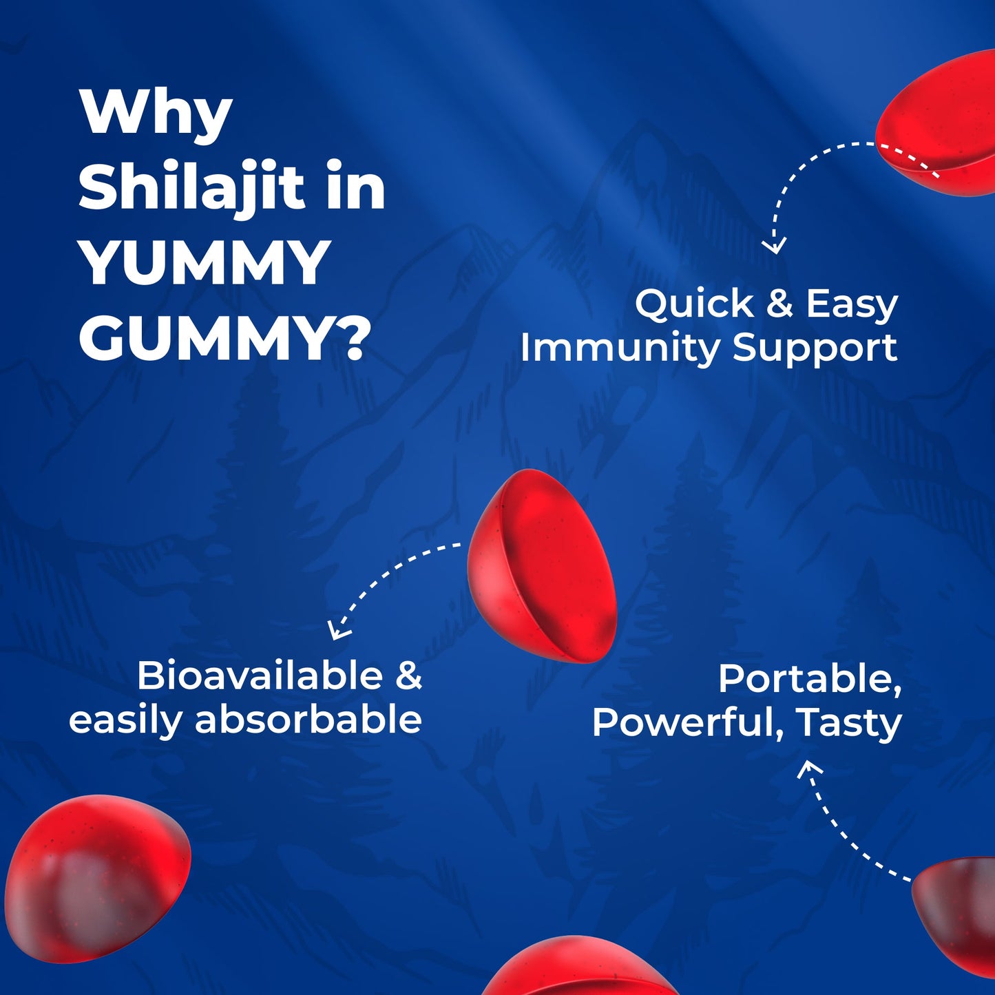 RILARK Nutriburst Shilajit Gummies: Unleash Your Inner Strength and Vitality Naturally